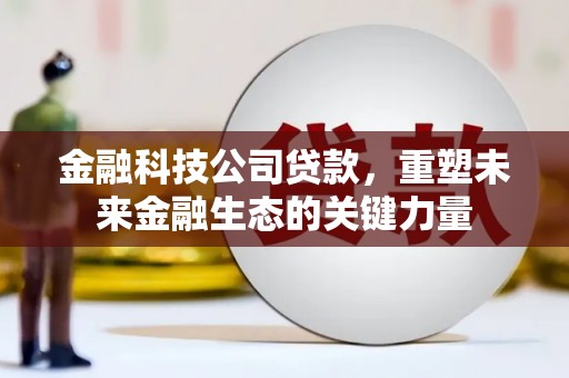 全南金融科技公司贷款，重塑未来金融生态的关键力量