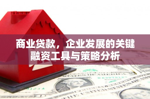 全南商业贷款，企业发展的关键融资工具与策略分析