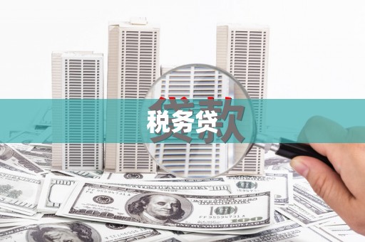 全南税务贷