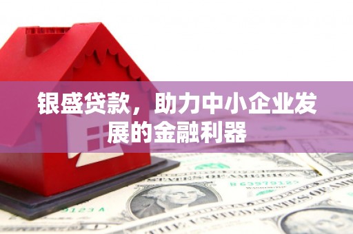 全南银盛贷款，助力中小企业发展的金融利器