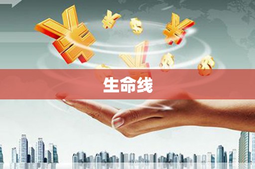全南生命线