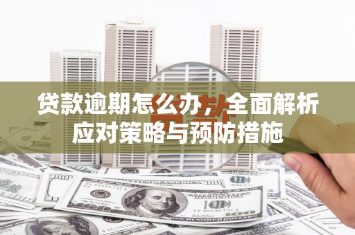 全南贷款逾期怎么办，全面解析应对策略与预防措施
