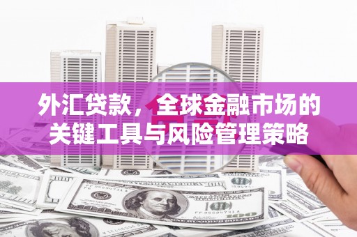 全南外汇贷款，全球金融市场的关键工具与风险管理策略