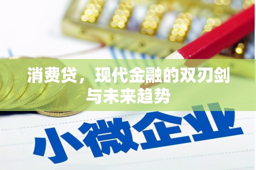 全南消费贷，现代金融的双刃剑与未来趋势