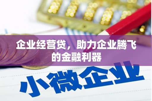 全南企业经营贷，助力企业腾飞的金融利器