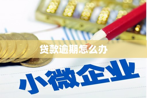 全南贷款逾期怎么办