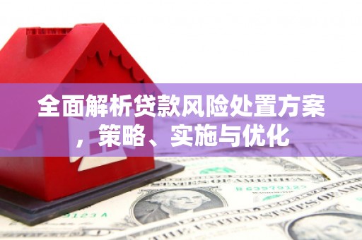 全南全面解析贷款风险处置方案，策略、实施与优化