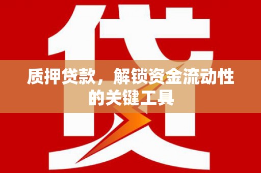 全南质押贷款，解锁资金流动性的关键工具