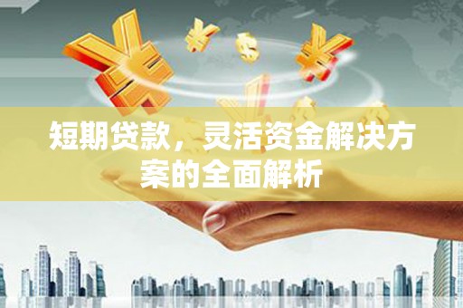 全南短期贷款，灵活资金解决方案的全面解析