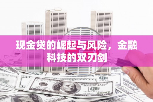 全南现金贷的崛起与风险，金融科技的双刃剑