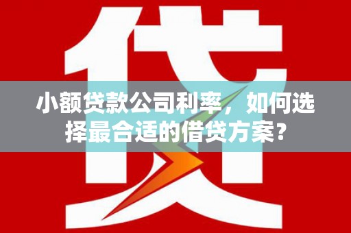全南小额贷款公司利率，如何选择最合适的借贷方案？