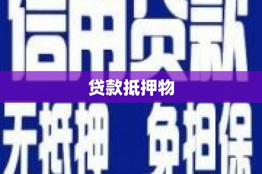 全南贷款抵押物