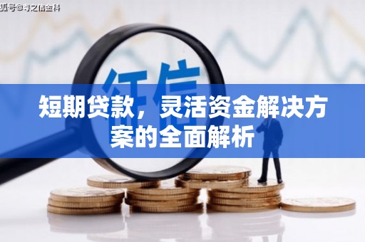 全南短期贷款，灵活资金解决方案的全面解析