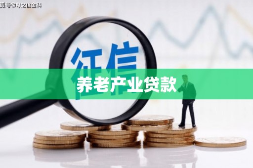 全南养老产业贷款