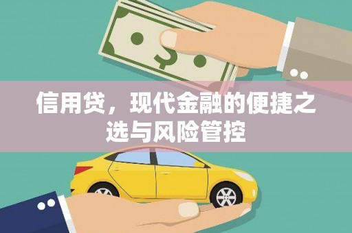 全南信用贷，现代金融的便捷之选与风险管控