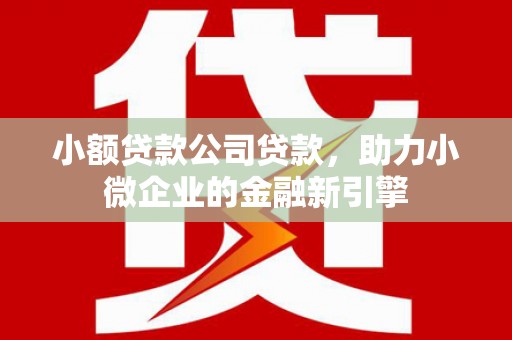 全南小额贷款公司贷款，助力小微企业的金融新引擎