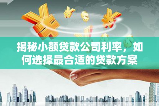 全南揭秘小额贷款公司利率，如何选择最合适的贷款方案