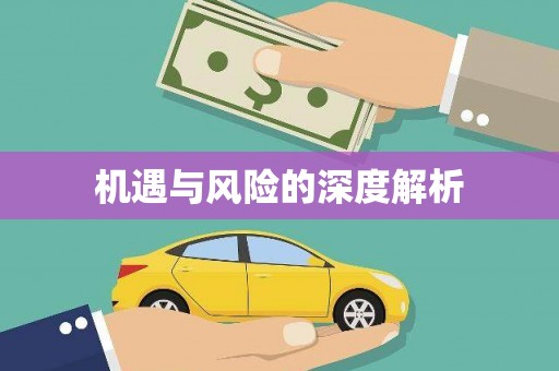 全南机遇与风险的深度解析