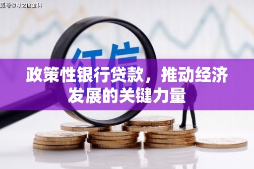 全南政策性银行贷款，推动经济发展的关键力量