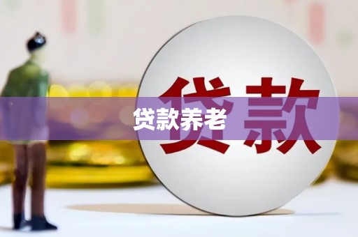 全南贷款养老