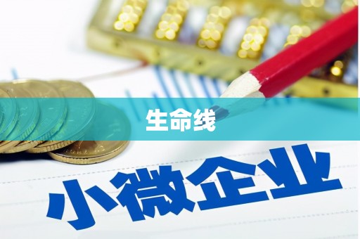 全南生命线