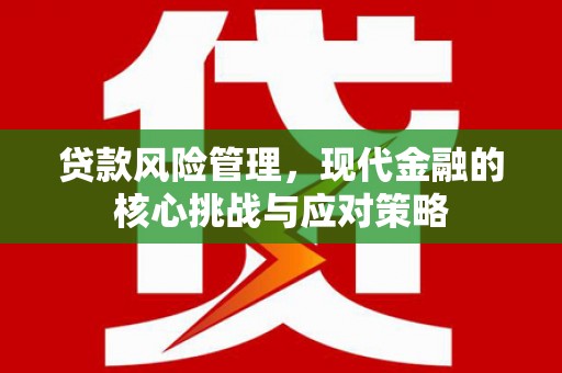 全南贷款风险管理，现代金融的核心挑战与应对策略