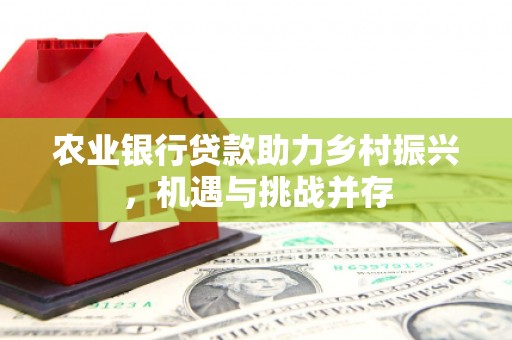 全南农业银行贷款助力乡村振兴，机遇与挑战并存
