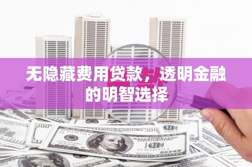 全南无隐藏费用贷款，透明金融的明智选择