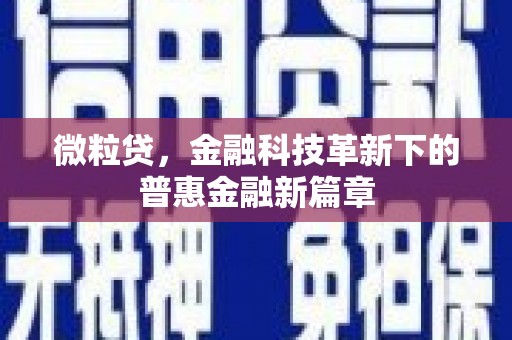 全南微粒贷，金融科技革新下的普惠金融新篇章