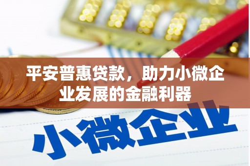 全南平安普惠贷款，助力小微企业发展的金融利器