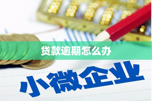 全南贷款逾期怎么办