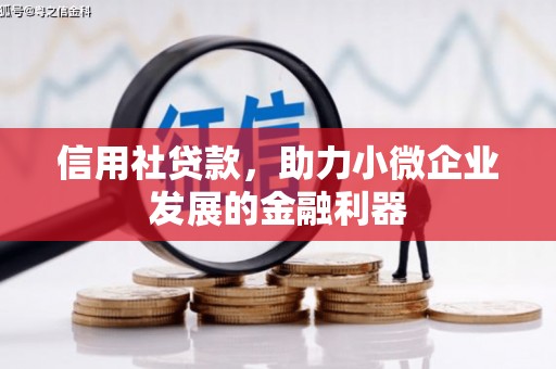 全南信用社贷款，助力小微企业发展的金融利器