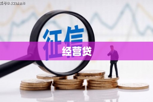 全南经营贷