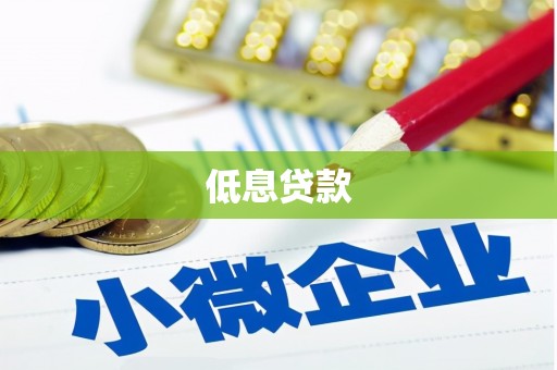 全南低息贷款