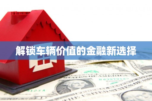 全南解锁车辆价值的金融新选择