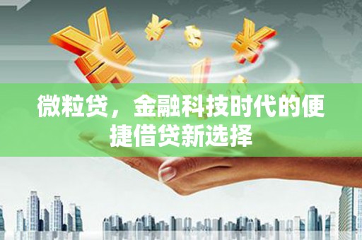 全南微粒贷，金融科技时代的便捷借贷新选择