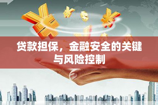 全南贷款担保，金融安全的关键与风险控制