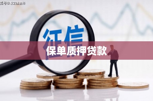 全南保单质押贷款