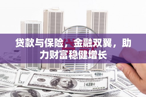 全南贷款与保险，金融双翼，助力财富稳健增长