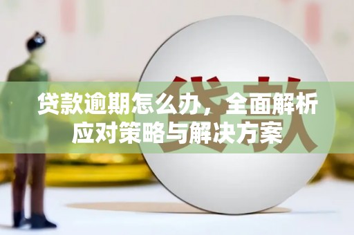 全南贷款逾期怎么办，全面解析应对策略与解决方案