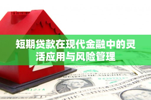 全南短期贷款在现代金融中的灵活应用与风险管理