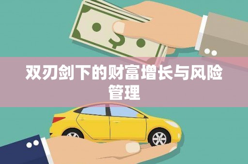 全南双刃剑下的财富增长与风险管理