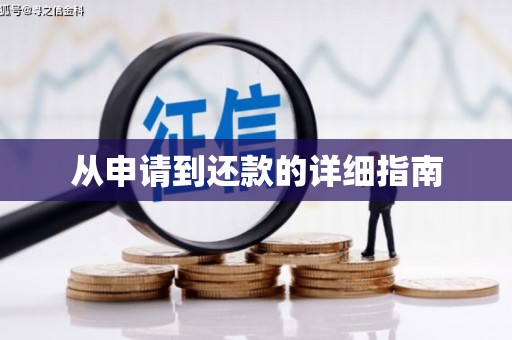 全南从申请到还款的详细指南