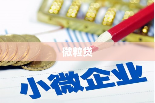 全南微粒贷