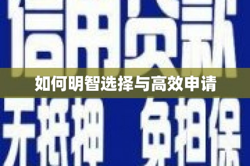 全南如何明智选择与高效申请