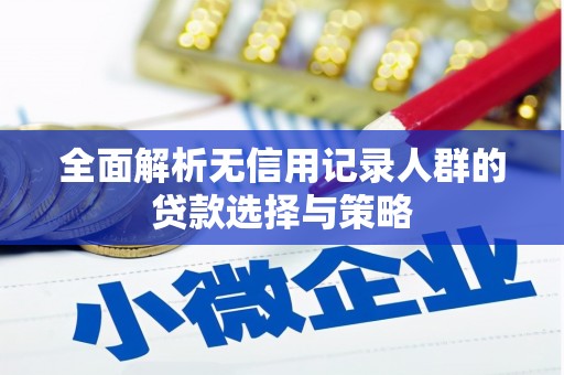 全南全面解析无信用记录人群的贷款选择与策略