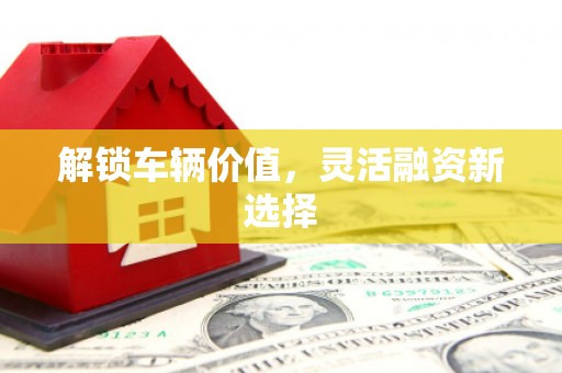 全南解锁车辆价值，灵活融资新选择