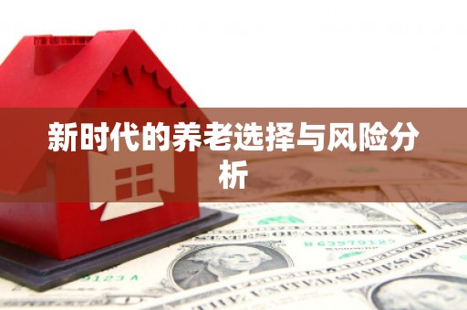 全南新时代的养老选择与风险分析
