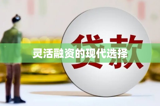 全南灵活融资的现代选择