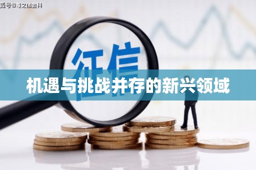 全南机遇与挑战并存的新兴领域
